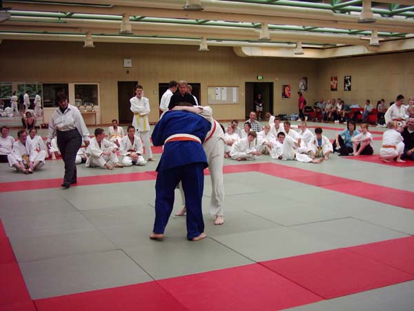 DSCI0031