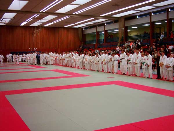 DSCI0019
